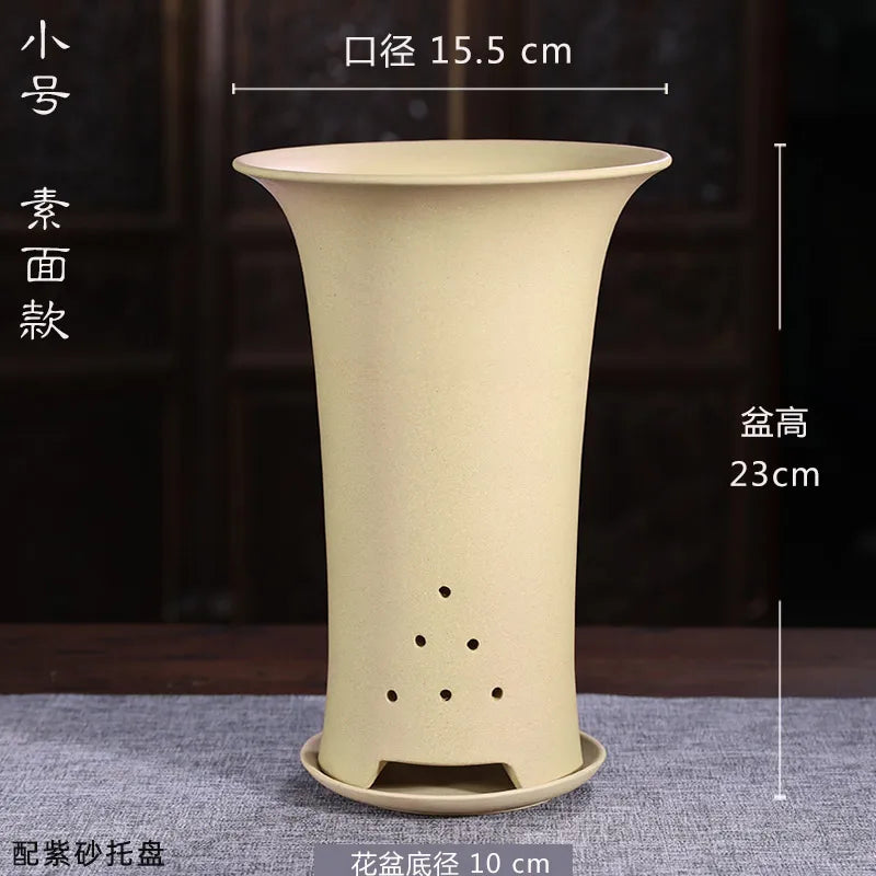 Tabletop Green Plant Flower Garden Flower Pot