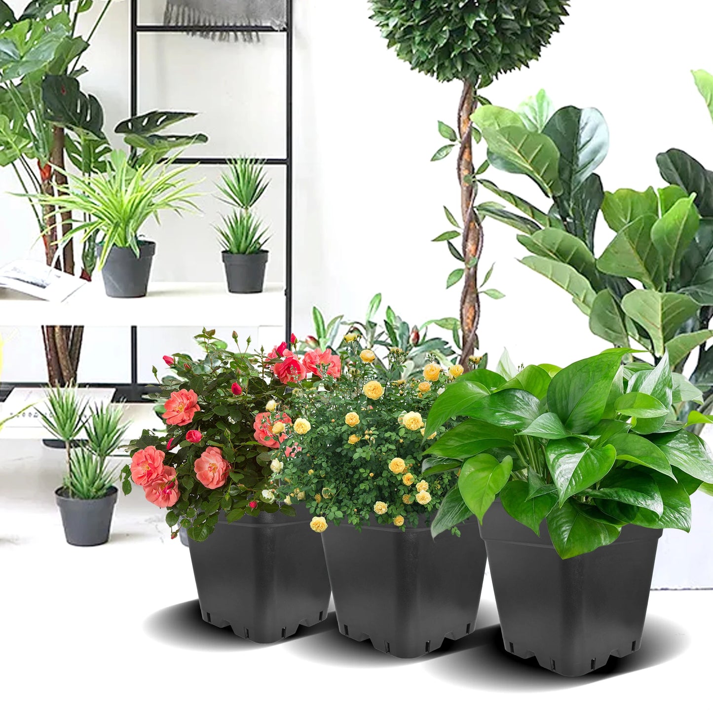 5-Gallon Square Black Injection-Molded Pots