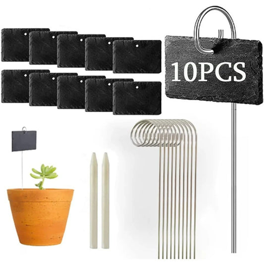 10PCS Plant Set, With Strong Restance, Reusable
