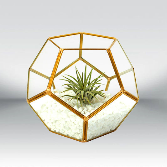 Geometric Terrarium Planter Flower Basket
