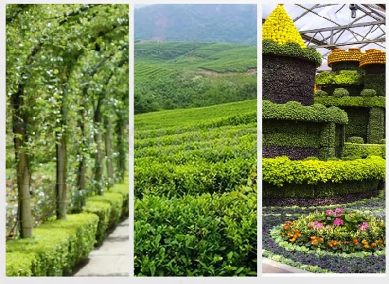 Multi Function Hedge Trimmer Gasoline Brush