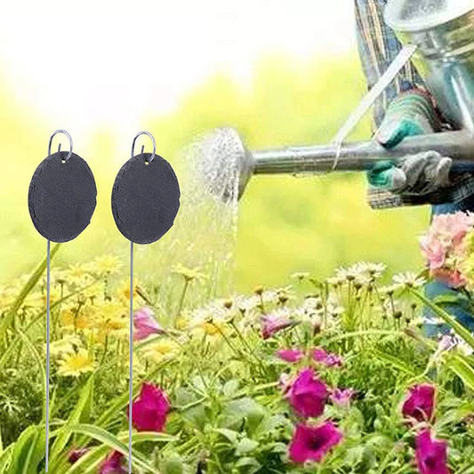 10PCS Plant Set, With Strong Restance, Reusable